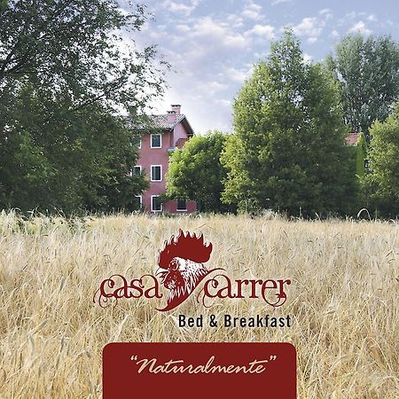 Casa Carrer B&B San Giovanni di Livenza Bagian luar foto